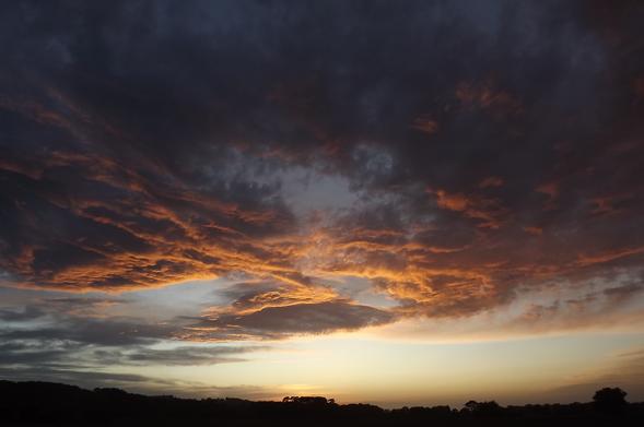 nuages sur le dessous desquels se reflètent les derniers rayons du soleil dans des teintes roses-orangées contrastant avec le gris foncé des zones non éclairées. En bas skyline rural de bois et de champs.
