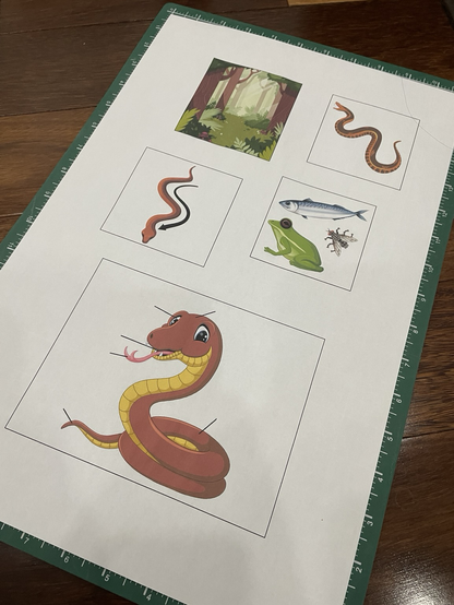 A sheet of paper with various pictures of snakes Mr