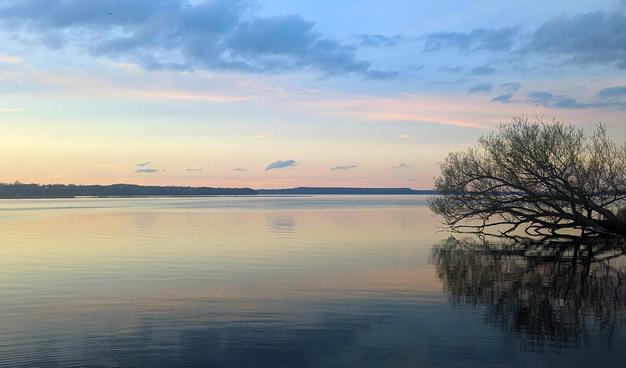 A view of South Bay, showing a violet, salmon and blue sunset. A willow tree is leaning over and touching the water on the right. Both tree and sunset are reflected in the water.