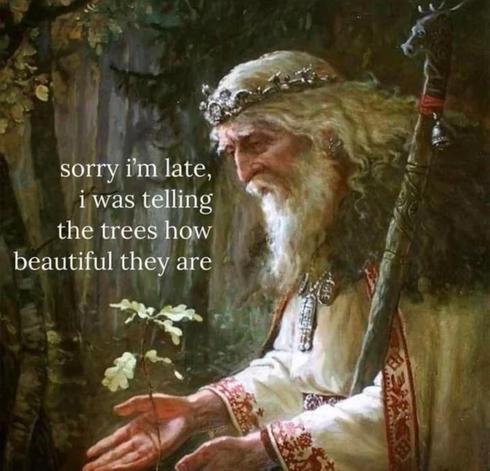 Sorry I'm late, I was telling the trees how beautiful they are.