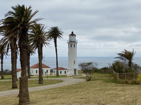 A tall white lighthouse with a brown top stands near the edge of a grassy field overlooking the ocean on a cloudy day. The lighthouse is surrounded by several white buildings with red tile roofs that are part of the lighthouse station. Tall palm trees are scattered across the grounds, some framing the lighthouse in the foreground. A winding paved path leads to the structures, and a wire fence runs along the right side of the image, with the ocean visible in the background.