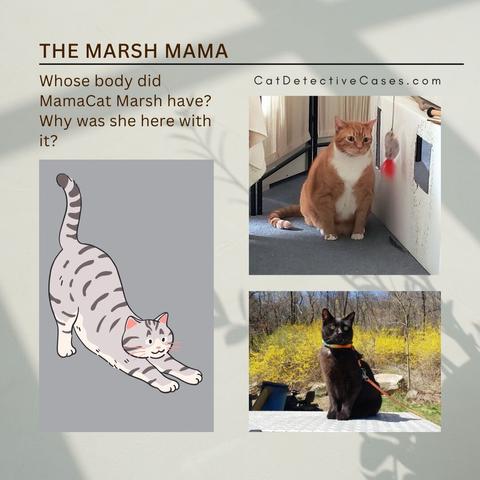 Headline: The Marsh Mama
Summary: "Whose body did MamaCat Marsh have? Why was she here with it? CatDetectiveCases.com"
Vertical photo on left: Canva illustration of a grey tabby stretching.
Top right: orange tabby Oliver sitting on the floor next to his office fort.
Bottom right: black cat Gus sitting tall outside on top of a silver chest with bright yellow flowers in the background.