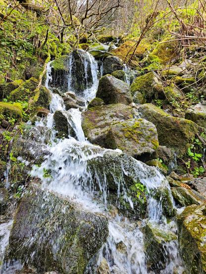 This image shows a small waterfall flowing over rocks. The rocks are covered with moss, and there's lush greenery around, including plants and trees. The scene looks natural and serene, typical of a Pacific Northwest forest environment.