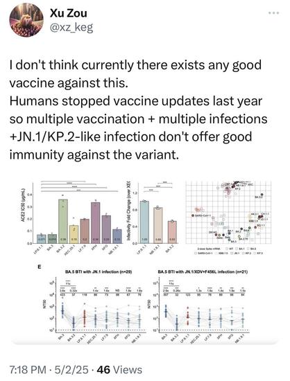 Xu Zou @xz_keg I don't think currently there exists any good vaccine against this. Humans stopped vaccine updates last year so multiple vaccination + multiple infections +JN.1/KP.2-like infection don't offer good immunity against the variant. ACE2 IC50 (pg/mL) 0.071 0.074 0.15 02 Infectivity Fold Change (over XE( 8 N8.1.8.3 XEC. BA3: Shh O SARS-COV-1 aD B date X88.1.5 BQ.1.1 D614G 0.85 0.53 0.0 LP.8.1.1 BA.3.2 XEC.25.1 XFG NB. 1.8.1' 0.0 LP.8.1.1 NB.1.8.1' BA3.2 ваз BA. 2.75 D SARS-CoV-1 O X88.1.5 O JN.1 C KP2 D KP.3 E BA.5 BTI with JN.1 infection (n=29) BA.5 BTI with JN.1/XD+F456L infection (n=21) 105. 1.6x XEC.25.1 NB.1.8.1 XEC.25.1 LE.7.9 ti 7:18 PM • 5/2/25 • 46 Views