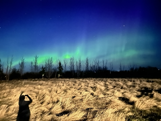 Shadow of a human pointing upward, out into a brown field. Beyond is a row of tres under bands of bright green and blue lights in sky