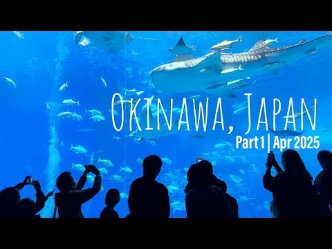 Okinawa Japan | Part 1 | 2K60