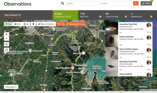A screenshot from iNaturalist showing my observations from 25–26 April 2025 (with more identifications still to be made on some of these observations). It shows a map of points where I went, and a tally of how many observations and species (which I added to the text of my toot).

https://inaturalist.nz/observations?d1=2025-04-25&d2=2025-04-26&place_id=6803&subview=map&user_id=jon_sullivan&verifiable=any