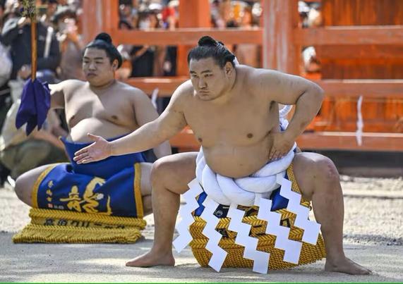 sumo