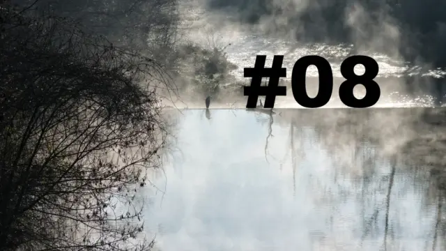 Un oiseau posé sur le bord d'une petite cascade sur un cours d'eau. Un arbre sur la gauche. Au-dessus de l'eau, des brumes de vapeurs. L'eau au premier plan semble sans mouvement, tandis qu'après la cascade le cours d'eau se transforme en torrent. Sur la droite le numéro de la chronique précédé d'un dièse.