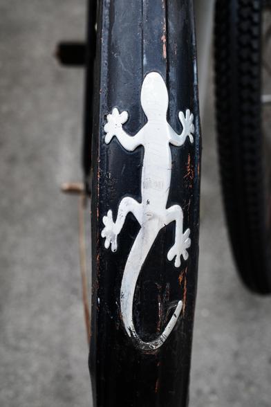 A close-up of a bicycle’s black fender featuring a white gecko.