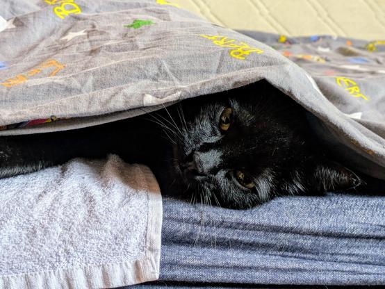 A black cat is peeking out from under a patterned blanket, resting on a stack of folded clothes. The cat's eyes are visible, and it appears cozy and relaxed.