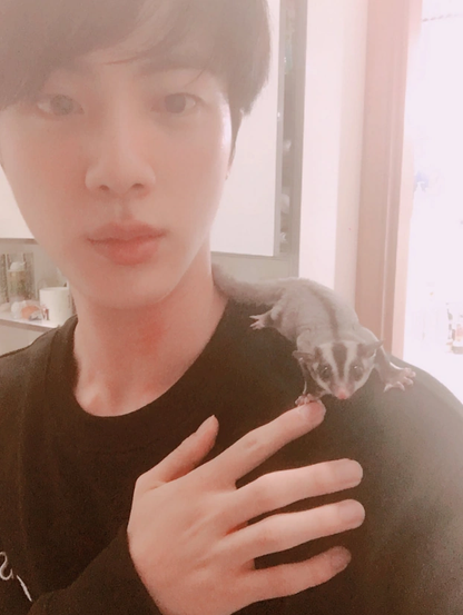 Jin wit Eomuck in 2017