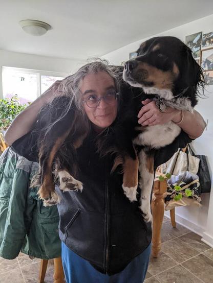 A gray-haired woman carrying a black, white, and tan dog across her shoulders like a feather boa