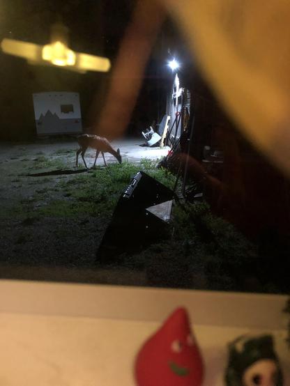 The deer again but this photo also has light reflected in the glass. There are a couple of brightly colored tiny figurines on the sill, blurred.