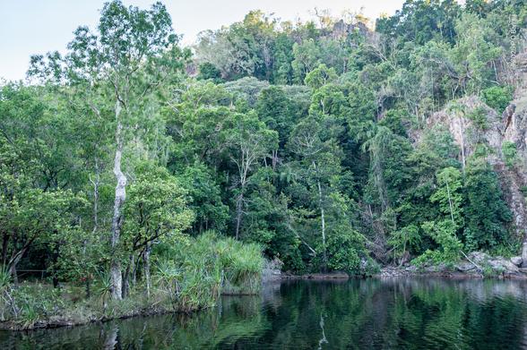 In the foreground is a calm, deep plunge pool, dark in the shadow of a steep, densely forested hillside behind. On the left the bank is not steep, but heavily grown with palms and bushes. The far bank is almost vertical, but covered in large mature trees. The whole scene is green and peaceful.