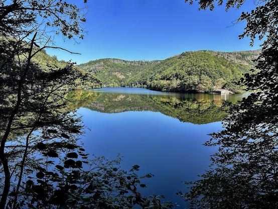 The image shows a serene lake surrounded by forest-covered hills. The lake reflects the sky and the surrounding trees, creating a calm and mirror-like water surface. A clear blue sky is visible with few clouds, suggesting a bright sunny day. The forefront is framed by branches and leaves from nearby trees, adding a natural border to the picturesque landscape. The scene is peaceful and provides a perfect example of natural beauty.