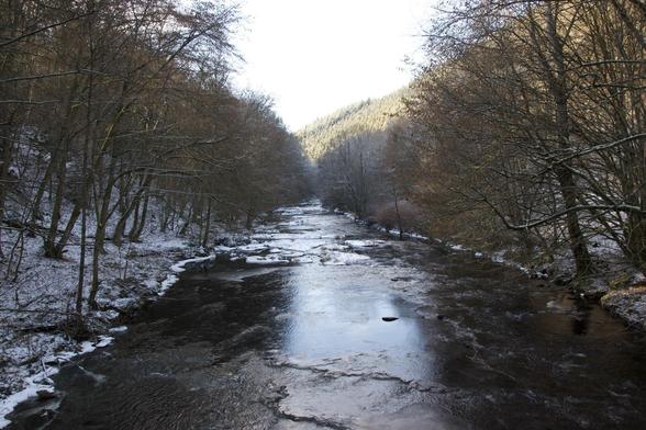 This image shows a scenic winter view of a river flowing through a forested valley. The river appears partially frozen, with ice forming along its edges and in slower-moving sections. The surrounding trees, which are bare of leaves suggesting it is winter, are lightly dusted with snow, adding to the wintry atmosphere of the scene. The landscape slopes upward on both sides away from the river, with trees covering the hills. The lighting suggests it might be early morning or late afternoon, giving the snow and ice a slightly golden hue from the low angle of the sun.