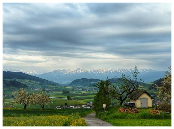 A green and lush valley, some trees in the foreground. Mountains in the background, grey sky.
