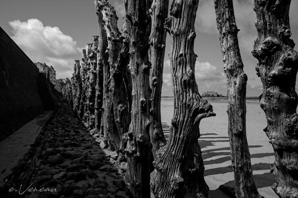 Piles of wood on the beach beside a quay. In the distance, the buildings of the town and a citadel at the end of the harbour.