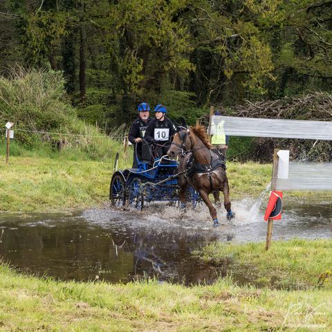 Photo de format carré en couleur présentant un attelage "solo" franchissant un gué. La meneuse semble hésiter et regarde sa droite, comme le cheval, alors que l'équipier, groom, semble hurler (en fait, il disait « non, tout droit ! »). L'équipage vient de rentrer dans le gué dans les éclaboussures, mais une partie de la surface encore lisse, reflète l'attelage.