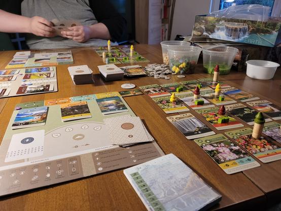 Mid game from my point of view. Pretty late gams actually, since the scoring pad is already in front of me.