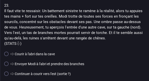 23. Il faut vite te ressaisir. Un battement sinistre te ramène à la réalité, alors tu appuies tes mains + fort sur tes oreilles. Modi trotte de toutes ses forces en fronçant les sourcils, concentré sur les obstacles devant ses pas. Une ombre passe au-dessus de vous. Heureusement, tu aperçois l'entrée d'une autre cave, sur ta gauche (nord). Vers l'est, un tas de branches mortes pourrait servir de torche. Et il te semble aussi qu'au-delà, les ruines s'arrêtent devant une rangée de chênes.  
- Choix 1: Courir à l'abri dans la cave
- Choix 2: Envoyer Modi à l'abri et prendre des branches
- Choix 3: Continuer à courir vers l'est (sortie ?)