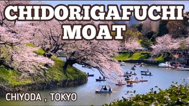 CHIDORIGAFUCHI MOAT FAMOUS FOR SAKURA VIEWING