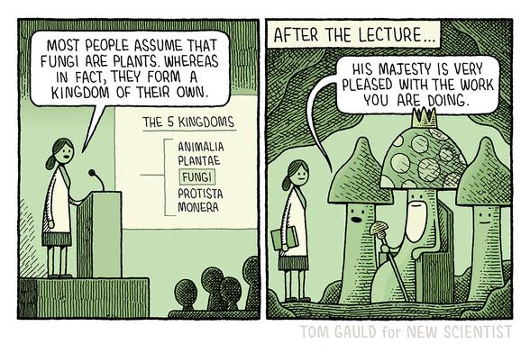 Panel One:
A scientist is giving a lecture. she stands at a lecturn. The current slide shows a list of the five kingdoms of living things: Animalia, Plantae, Fungi, Protista and Monera. She says "Most people assume that fungi are plants. Whereas in fact, they form a kingdom of their own."

Panbel Two:
Caption : After the lecture 
The scientist now appears to be in a subterranean cave, before her stand two very large mushrooms guarding a larger, beardedmushroom who sits in athrone wearing a crown. One of the mushrooms says "His majesty is very pleased with the work you are doing."