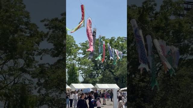GIANT FISH in JAPAN #shorts #japan #travel #instagram #kids #amazing