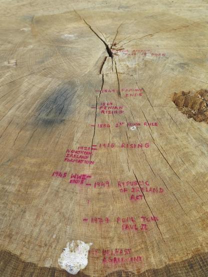 A closer view again of the tree stump. The writing is more visible and marks rings on the tree stump corresponding to significant year. The tree was "born" c. 1800, with other dates marked including the Famine in 1849, the Fenian Rising, the 1st Home Rule Bill, the 1916 Rising, Ireland's partition, the end of WW2, Ireland becoming a republic, Pope John Paul II's visit to Ireland, and the Good Friday agreement.