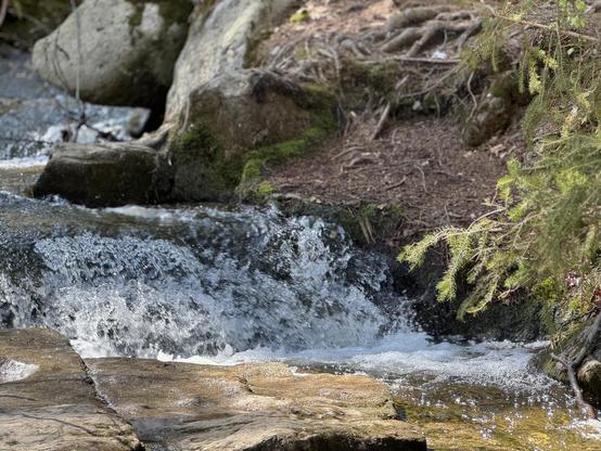 The image shows a natural scene with a small waterfall or cascade of water flowing over rocks. The area around the water is surrounded by greenery, possibly moss and small plants, and there are some trees or branches visible on the right.