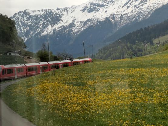A Rhaetian railway train in red, snaking around a curve in front of us, a field of green and yellow to the right and in the distance, snow topped mountain peeks.
Sadly, a slight window glare