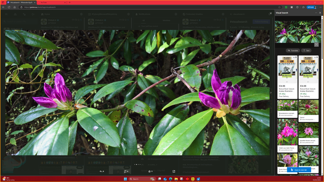 #DontForget... #VisualSearch is #StillQuiteCool...
