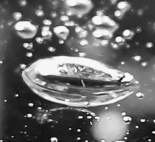 the world in a large raindrop, as other smaller raindrops are around the main one in the center, displayed in black and white