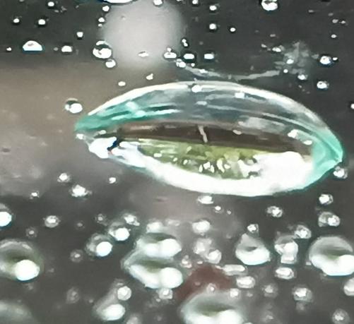 Description in the previous image, but this is the original colour image, unflipped, so the world in the drop of water is upside-down (because that's how light works seen through a drop of water).