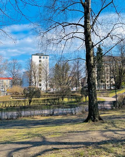 A sunny park scene featuring a tall tree, manicured bushes, and distant buildings under a blue sky with scattered clouds.