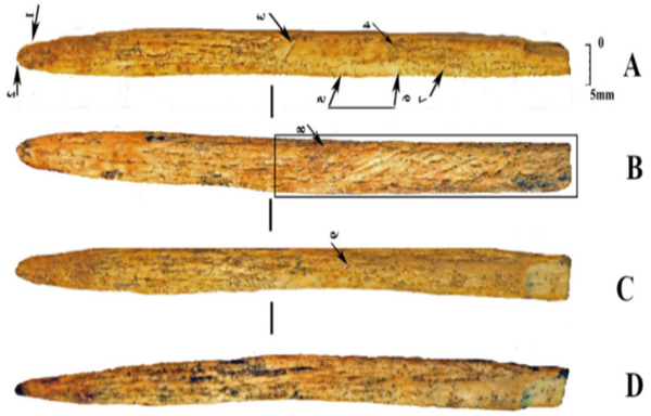side view of a long, narrow bone spear point, from 4 different sides