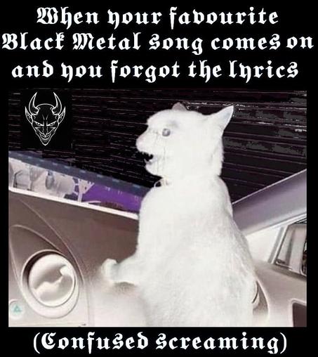 Top of the image reads "When your favourite Black Metal song comes on and you forgot the lyrics" in German type / Gothic type
Below, a cat is leaning onto the dashboard of a car, her mouth is wide open
Below her it reads "Confused Screaming" (also in German type / Gothic type)
In the background there's a black lorry / motortruck with a devil's face painted onto the side rolling by
Colours of the image have been partially inverted, so the cat is white and like a ghost