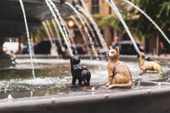 Painted, cast-iron sculpture of a striped, orange and white cat sitting on the ledge of a water display in which pugs spew jets of water from their mouths on the second tier of the fountain.