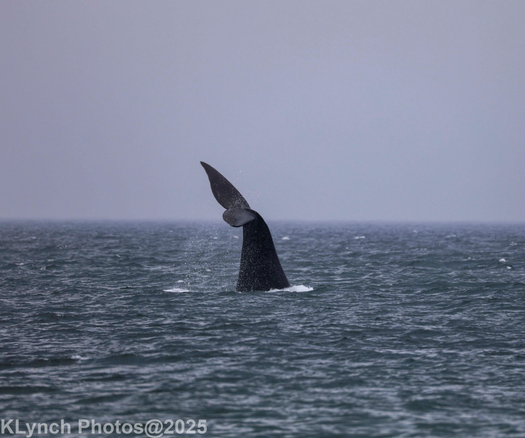 Uncroped and taken from the shore
