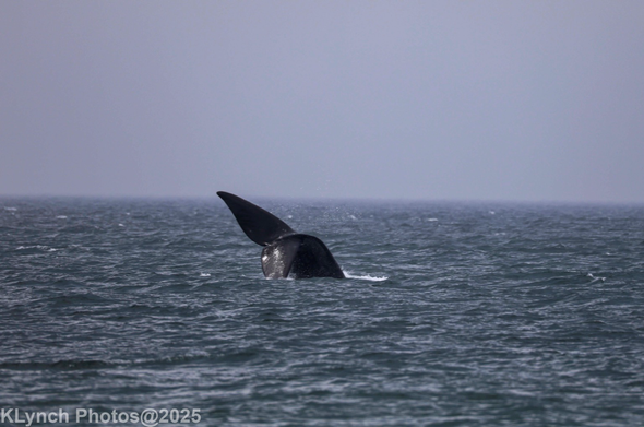 Uncroped and taken from the shore