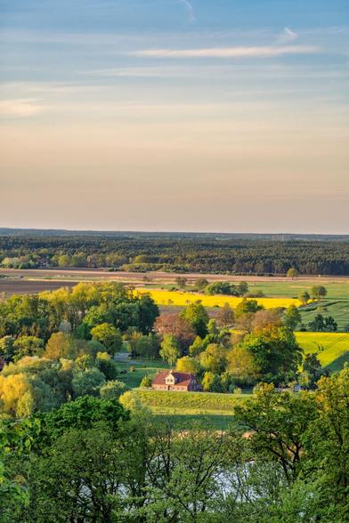 Im Vordergrund Wald, dahinter die Elbe und hinter der Elbe Häuser und Rapsfelder.