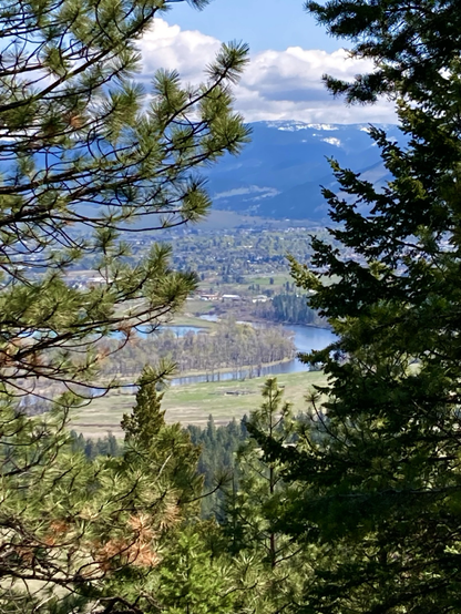 Through a gap in evergreen trees that tilts to the right, a winding river crosses a green valley floor. Across the valley, wooded mountains stand dark except for their white crowns, the sky cloudy over the mountains, but clear over the valley.