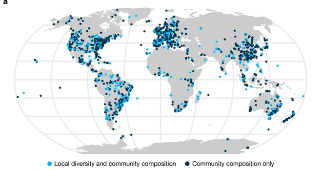 Mapa global donde se muestran todas los datos de comunidades usados en este trabajo diferenciando entre datos de solo composición o datos de composición y diversidad. Destaca sobre todo una alta concentracion de datos en Europa, EEUU y Asia