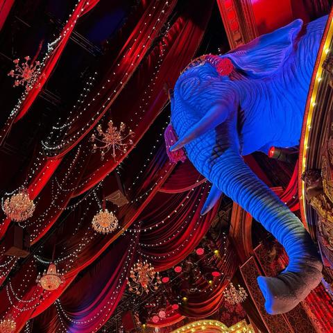 Das Bild zeigt eine prächtige Szene im Moulin-Rouge-Musicaltheater, die durch eine beeindruckende Dekoration gekennzeichnet ist. Im Vordergrund steht eine große, blau beleuchtete Elefantenstatue, die majestätisch in die Höhe ragt. Der Elefant ist mit roten Blüten verziert, was ihm ein festliches Aussehen verleiht. Die Decke des Zuschauerraums ist von dicken, roten Vorhängen dominiert, die in weichen Falten hängen und von zahlreichen Kristallleuchtern und Lichterketten durchzogen sind. Diese Dekorationen erzeugen eine warme und einladende Atmosphäre. Die Leuchten sind in verschiedenen Formen und Größen angeordnet, was dem Ganzen eine luxuriöse und festliche Note verleiht. Die gesamte Szene strahlt eine Atmosphäre von Eleganz und Feierlichkeit aus, die typisch für das Musical ist.