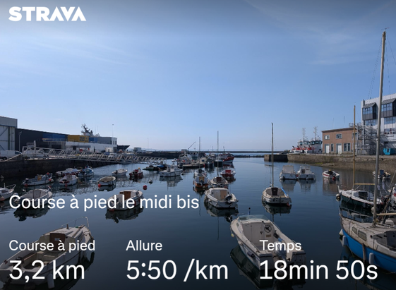 Port de Brest et statistiques de la course