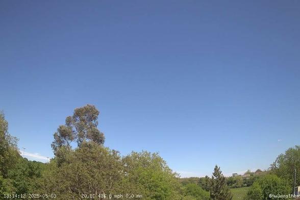 This webcam usually shows a view of the sky with trees in the foreground. It's a clear day. It's 59ºF/15ºC.