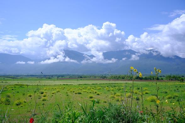 going from the closer to the photographer towards the back: some greenery with a red flower and some taller, yellow flowers. Then a very green field with some nice looking bushes (I’d like to touch em) then some other fields with a few trees, and in the back is a mountain range with clouds on top like they are sitting on the mountains! but the sky is clear other than that (above these clouds).