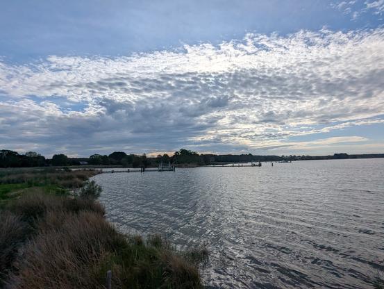 Photo of a calm morning sunrise over Harris Creek , sun rising behind a low white dappled cloud deck in a deep blue sky. Marsh is green with riotous new spring growth. Creek water is rippled and reflects the sky and clouds.