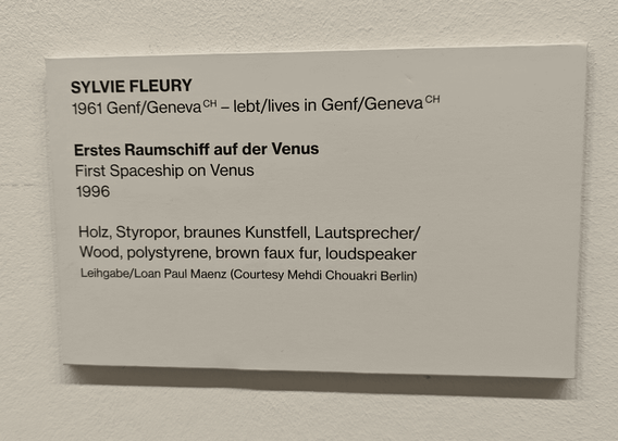 The exhibit sign lists Sylvie Fleury as thje artist, the work was created in 1996.
